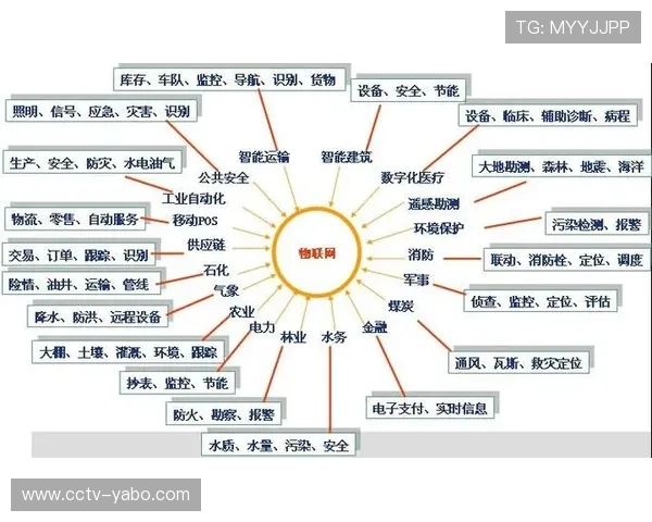 体育传输经验应用于远程教育、医疗等垂直领域