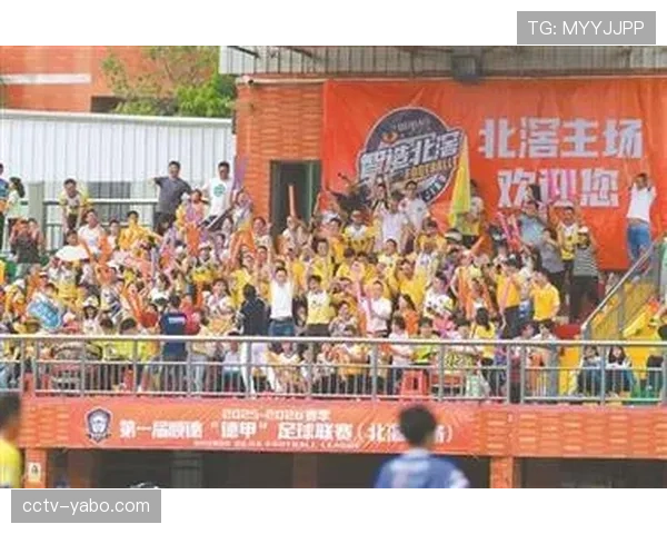 德甲与德国足协联合推出“绿茵计划”，要求各主场在2027年前安装雨水循环系统